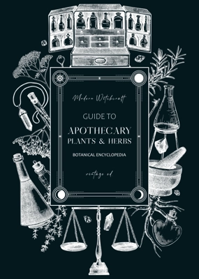 Antique apothecary frame on chalkboard. Hand-drawn vector illustrations. Alchemy glassware, medicinal herbs sketches. Witchraft banner, card, invitation, flyer design. NOT AI generated